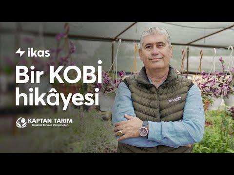 Documentary 4 thumbnail